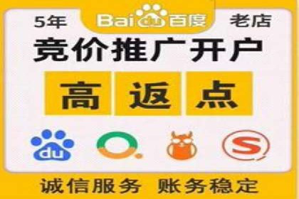 精准投放，高效转化——网站sem托管的胜利案例